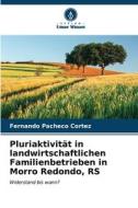 Pluriaktivität in landwirtschaftlichen Familienbetrieben in Morro Redondo, RS di Fernando Pacheco Cortez edito da Verlag Unser Wissen