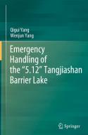 Emergency Management of the "5.12" Tangjiashan Barrier Lake di Qigui Yang, Wenjun Yang edito da SPRINGER NATURE
