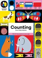 Counting di Aino-Maija Metsola edito da Wide Eyed Editions