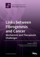 Links between Fibrogenesis and Cancer edito da MDPI AG
