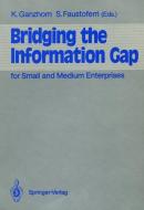 Bridging the Information Gap edito da Springer Berlin Heidelberg