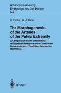 The Morphogenesis of the Arteries of the Pelvic Extremity di Carolin Funke, Hans-Jörg Kuhn edito da Springer Berlin Heidelberg