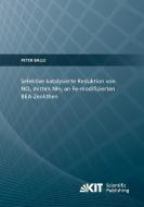 Selektive katalysierte Reduktion von NOx mittels NH3 an Fe-modifizierten BEA-Zeolithen di Peter Balle edito da Karlsruher Institut für Technologie
