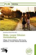 Wa Y, Lower Silesian Voivodeship edito da Placpublishing