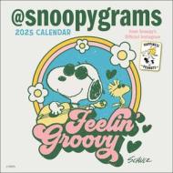 Peanuts 2025 Mini Wall Calendar di Peanuts Worldwide LLC, Charles M. Schulz edito da Andrews McMeel Publishing