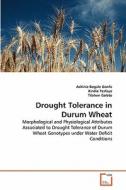 Drought Tolerance in Durum Wheat di Ashinie Bogale Gonfa, Kindie Tesfaye, Tilahun Geleto edito da VDM Verlag