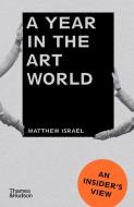 A Year In The Art World di Matthew Israel edito da Thames & Hudson Ltd
