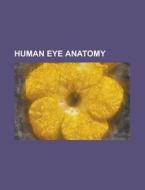 Human Eye Anatomy di Source Wikipedia edito da Booksllc.net