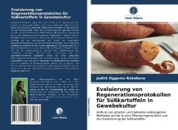 Evaluierung von Regenerationsprotokollen für Süßkartoffeln in Gewebekultur di Judith Oggema-Natabona edito da Verlag Unser Wissen