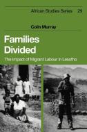 Families Divided di Colin Murray edito da Cambridge University Press