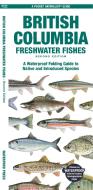 British Columbia Fishes: A Folding Pocket Guide to All Known Native and Introduced Freshwater Species di Matthew Morris edito da WATERFORD PR