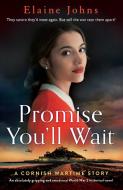 Promise You'll Wait di Elaine Johns edito da Bookouture