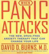 When Panic Attacks: The New, Drug-Free Anxiety Therapy That Can Change Your Life di David D. Burns edito da HarperAudio