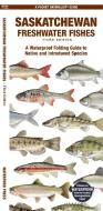 Saskatchewan Fishes: A Folding Pocket Guide to All Known Native and Introduced Freshwater Species di Matthew Morris, Christopher Sommers edito da WATERFORD PR