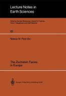 The Zechstein Facies in Europe edito da Springer Berlin Heidelberg
