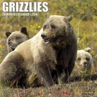 Grizzlies Calendar edito da Willow Creek Press