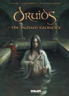 Druids 1: The Ogham Sacrifice di Jean-Luc Istin edito da Dalen