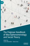 The Palgrave Handbook of Macrophenomenology and Social Theory edito da Springer International Publishing