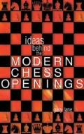 Ideas Behind The Modern Opening di Gary Lane edito da Pavilion Books
