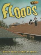 Floods di Michael Woods, Mary B. Woods edito da Lerner Publications