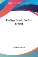 Codigo Penal, Book 1 (1906) di Mexico Yucatan Mexico, Yucatan Mexico edito da Kessinger Publishing