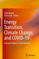 Energy Transition, Climate Change, And COVID-19 edito da Springer Nature Switzerland AG