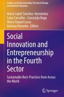 Social Innovation and Entrepreneurship in the Fourth Sector edito da Springer International Publishing