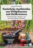 Natürliche Antibiotika aus Wildpflanzen und Heilkräutern di Jürgen Schneider edito da Kneipp Verlag