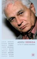 Adieu Derrida edito da SPRINGER NATURE