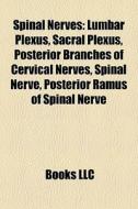Spinal Nerves: Lumbar Plexus, Sacral Ple di Books Llc edito da Books LLC