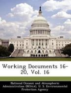 Working Documents 16-20, Vol. 16 edito da Bibliogov