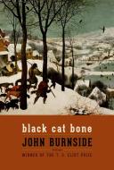Black Cat Bone: Poems di John Burnside edito da GRAY WOLF PR