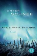 Unter Schnee di Antje Rávic Strubel edito da FISCHER Taschenbuch