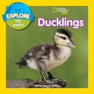 Explore My World: Ducklings di Marfe Ferguson Delano edito da National Geographic Kids