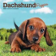 Dachshund Puppies 2020 Mini Wall Calendar di Inc Browntrout Publishers edito da Brown Trout