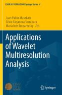 Applications of Wavelet Multiresolution Analysis edito da Springer International Publishing