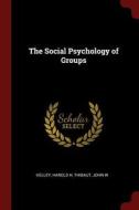 The Social Psychology of Groups di Harold H. Kelley, John W. Thibaut edito da CHIZINE PUBN