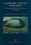 Cadbury Castle Somerset: The Later Prehistoric and Early Historic Archaeology di John Barrett, P. W. Freeman, Ann Woodward edito da HISTORIC ENGLAND PR