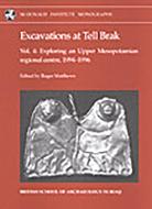 Excavations at Tell Brak 4 di Roger Matthews edito da McDonald Institute for Archaeological Research