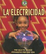 La Electricidad di Sally M. Walker edito da Ediciones Lerner