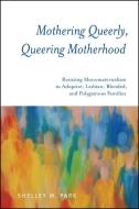 Mothering Queerly, Queering Motherhood di Shelley M. Park edito da State University Press of New York (SUNY)