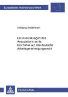 Die Auswirkungen des Assoziationsrechts EG/Türkei auf das deutsche Arbeitsgenehmigungsrecht di Wolfgang Breidenbach edito da Lang, Peter GmbH