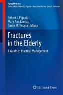 Fractures in the Elderly edito da Humana Press
