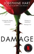 Damage di Josephine Hart edito da Little, Brown Book Group