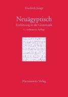 Einführung in die Grammatik des Neuägyptischen di Friedrich Junge edito da Harrassowitz Verlag