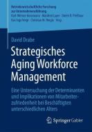 Strategisches Aging Workforce Management di David Drabe edito da Springer Fachmedien Wiesbaden