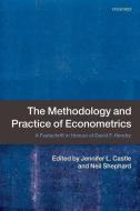 The Methodology and Practice of Econometrics: A Festschrift in Honour of David F. Hendry di Jennifer Castle edito da OXFORD UNIV PR