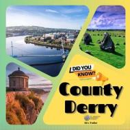 County Derry di Alex Tudor edito da Intell World Publishers