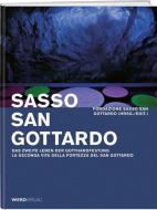 Sasso San Gottardo di Lisa Humbert-Droz, Martin Immenhauser edito da Werd Weber Verlag AG