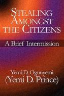 A Brief Intermission di Yemi D. Prince edito da Publishamerica